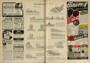 Better Homes & Gardens October 1947 Magazine Article: Page 218