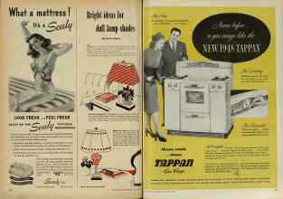 Better Homes & Gardens October 1947 Magazine Article: Page 224