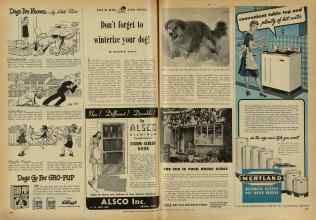 Better Homes & Gardens October 1947 Magazine Article: Don't forget to winterize your dog!