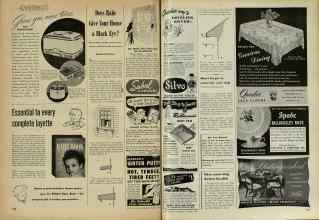 Better Homes & Gardens October 1947 Magazine Article: Does Rain Give Your House a Black Eye?