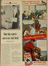 Better Homes & Gardens November 1947 Magazine Article: Your dog experts you to use your head