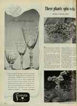Better Homes & Gardens November 1947 Magazine Article: These plants spin webs