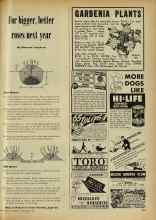Better Homes & Gardens November 1947 Magazine Article: For bigger, better roses next year