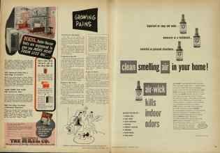 Better Homes & Gardens November 1947 Magazine Article: Page 196