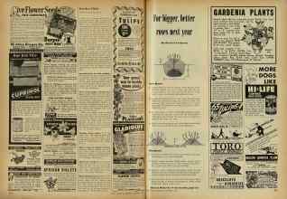 Better Homes & Gardens November 1947 Magazine Article: Page 234