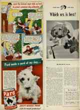 Better Homes & Gardens December 1947 Magazine Article: Which sex is best?