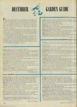 Better Homes & Gardens December 1947 Magazine Article: DECEMBER GARDEN GUIDE