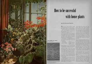 Better Homes & Gardens December 1947 Magazine Article: How to be successful with house plants