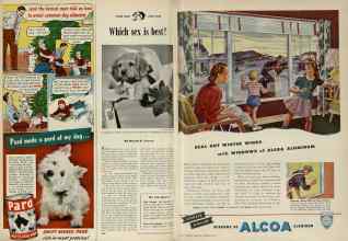 Better Homes & Gardens December 1947 Magazine Article: Page 134