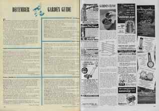 Better Homes & Gardens December 1947 Magazine Article: Page 166