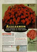 Better Homes & Gardens January 1948 Magazine Article: Page 134