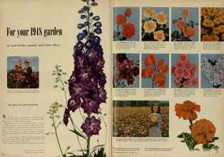 Better Homes & Gardens January 1948 Magazine Article: For four 1948 garden
