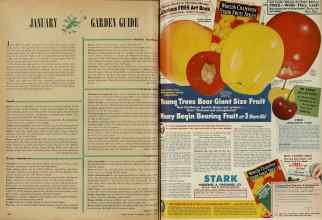 Better Homes & Gardens January 1948 Magazine Article: Page 102