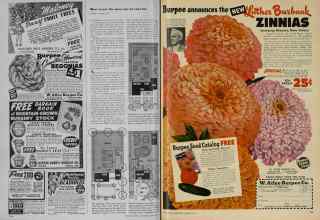 Better Homes & Gardens January 1948 Magazine Article: Page 108