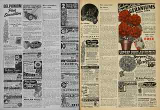 Better Homes & Gardens January 1948 Magazine Article: Page 120