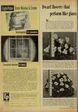 Better Homes & Gardens February 1948 Magazine Article: Dwarf flowers that perform like giants