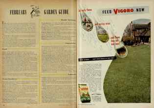 Better Homes & Gardens February 1948 Magazine Article: Page 168