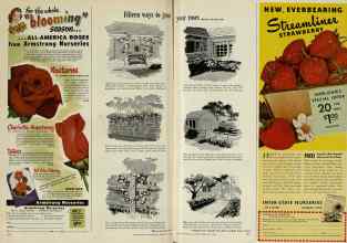 Better Homes & Gardens February 1948 Magazine Article: Page 172