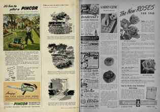 Better Homes & Gardens February 1948 Magazine Article: Page 174
