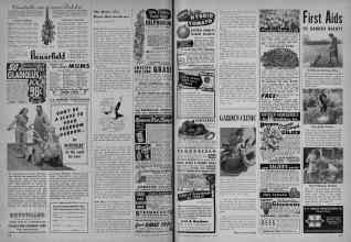 Better Homes & Gardens February 1948 Magazine Article: Page 178