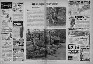 Better Homes & Gardens February 1948 Magazine Article: Your soil no good? Neither was this