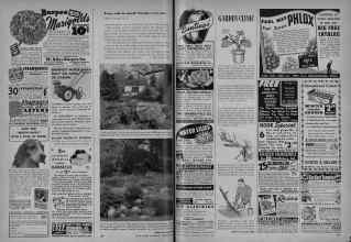 Better Homes & Gardens February 1948 Magazine Article: Page 184