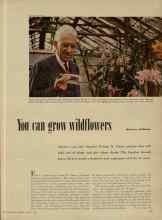 Better Homes & Gardens March 1948 Magazine Article: Yon can grow wildflowers