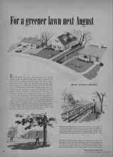 Better Homes & Gardens March 1948 Magazine Article: For a greener lawn next August