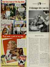 Better Homes & Gardens March 1948 Magazine Article: If distemper hits your dog
