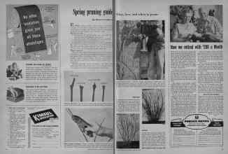 Better Homes & Gardens March 1948 Magazine Article: Spring pruning guide