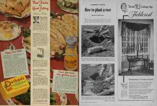 Better Homes & Gardens March 1948 Magazine Article: Page 24