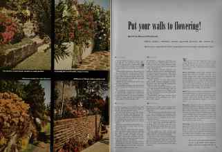 Better Homes & Gardens March 1948 Magazine Article: Put your walls to flowering!