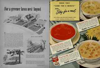 Better Homes & Gardens March 1948 Magazine Article: Page 60