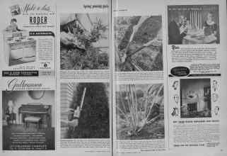 Better Homes & Gardens March 1948 Magazine Article: Page 216