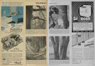 Better Homes & Gardens March 1948 Magazine Article: Page 220