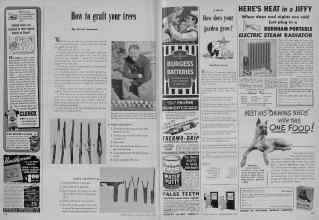 Better Homes & Gardens March 1948 Magazine Article: Page 222