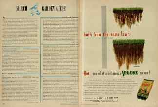 Better Homes & Gardens March 1948 Magazine Article: Page 226