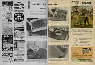 Better Homes & Gardens March 1948 Magazine Article: Page 228