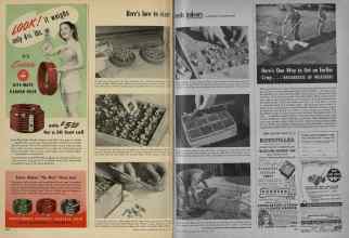 Better Homes & Gardens March 1948 Magazine Article: Page 230