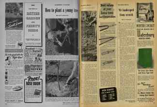 Better Homes & Gardens March 1948 Magazine Article: GARDEN CLINIC How to plant a young tree