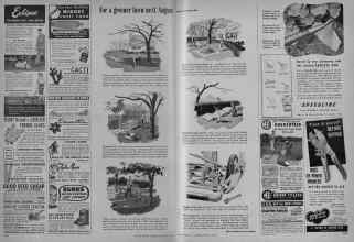 Better Homes & Gardens March 1948 Magazine Article: Page 246