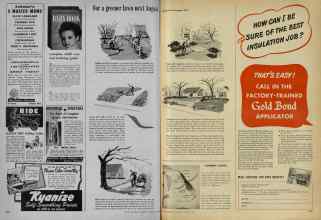 Better Homes & Gardens March 1948 Magazine Article: Page 248
