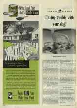 Better Homes & Gardens April 1948 Magazine Article: Having trouble with your dog?