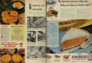 Better Homes & Gardens April 1948 Magazine Article: Page 24