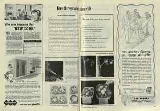 Better Homes & Gardens April 1948 Magazine Article: Growth-regulator Chemicals
