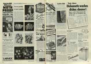 Better Homes & Gardens April 1948 Magazine Article: Page 234