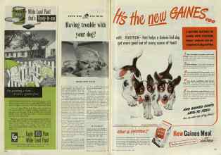 Better Homes & Gardens April 1948 Magazine Article: Page 246