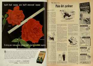 Better Homes & Gardens April 1948 Magazine Article: Page 258