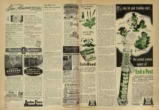 Better Homes & Gardens April 1948 Magazine Article: Page 260