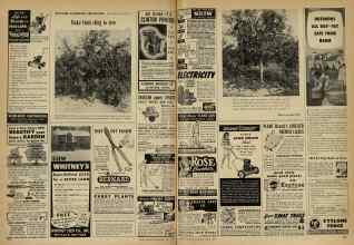 Better Homes & Gardens April 1948 Magazine Article: Page 274